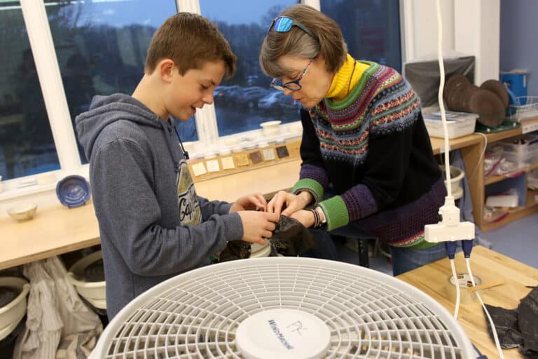 bds arts news 2 011720